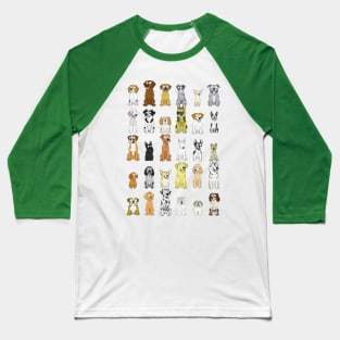 Dog Breeds Baseball T-Shirt